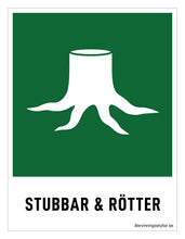 Ladda upp bild till gallerivisning, Stubbar och rötter