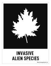 Ladda upp bild till gallerivisning, Invasiva arter
